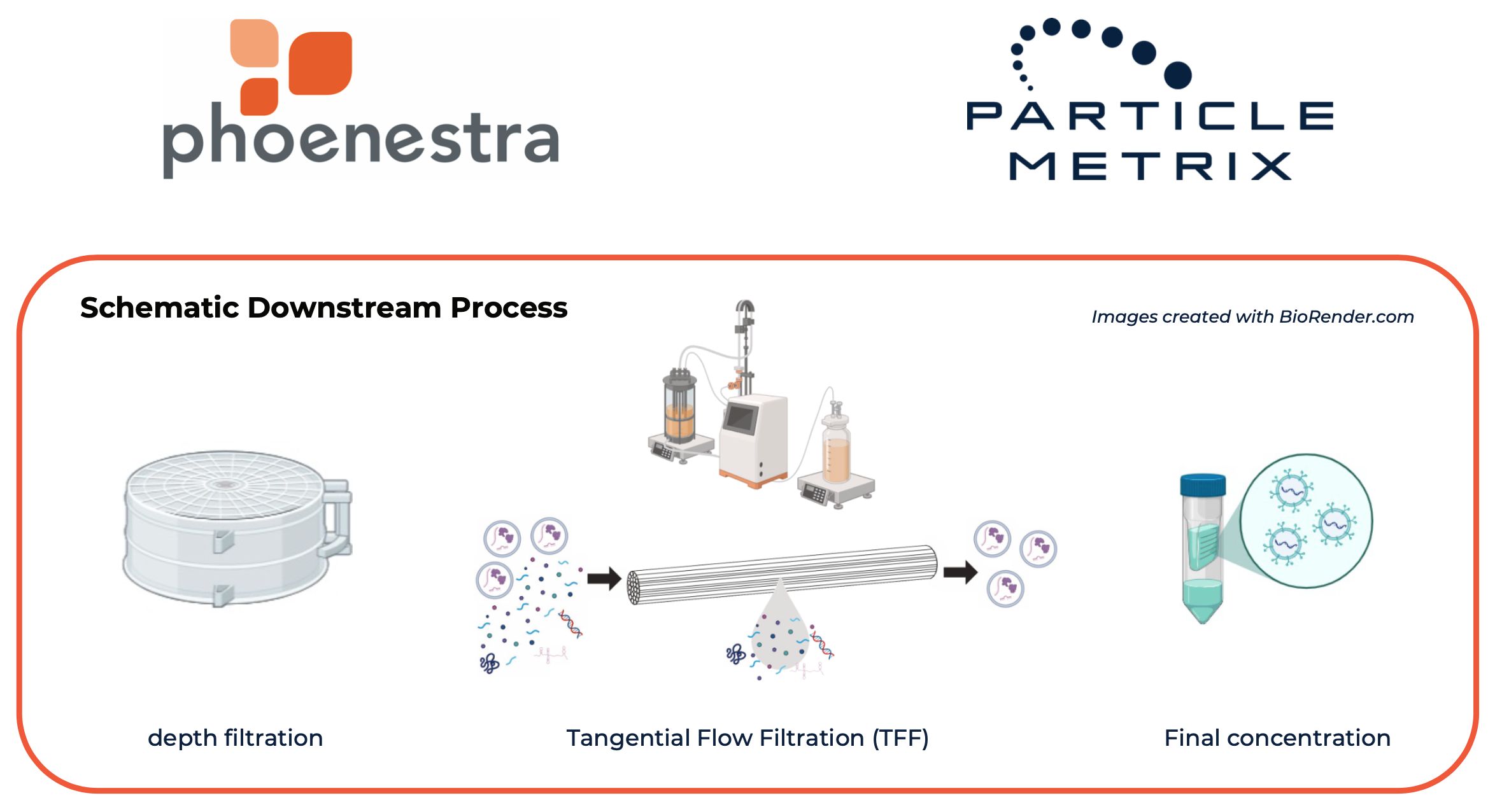 Accurate Mass Balance of EV Downstream Processing using ZetaView® and F-NTA Tetraspanin Detection Kit