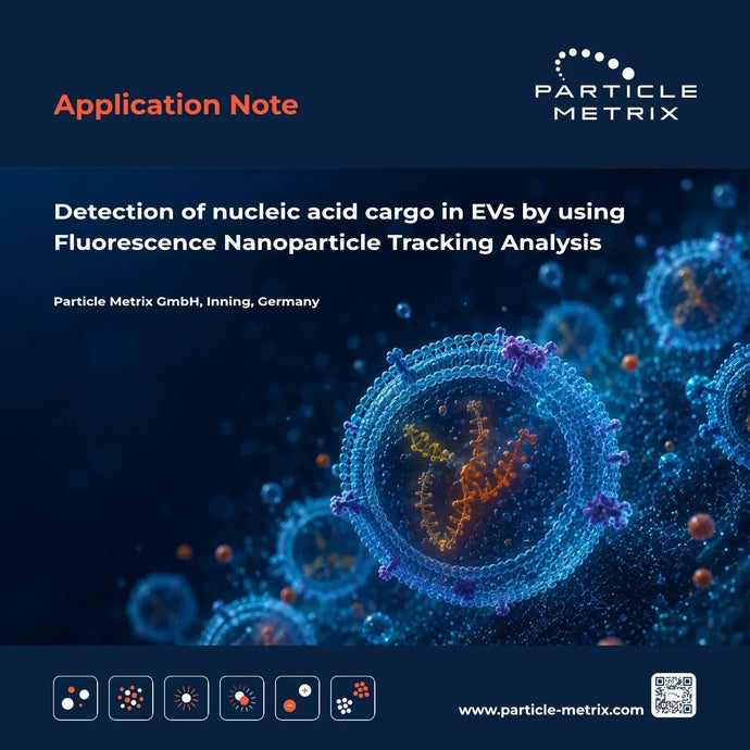 Fluorescent nucleic acid cargo within extracellular vesicles visualized for analysis by fluorescence nanoparticle tracking.