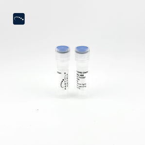 F-NTA CD63 Detection Antibody