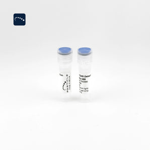 F-NTA CD81 Detection Antibody
