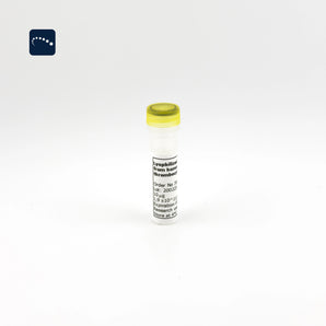 Lyophilized Exosomes from human thrombocytes of healthy donors