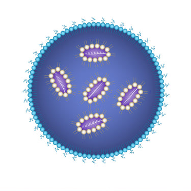 Illustration of a blue lipid nanoparticle with encapsulated RNA and targeting structures on its surface.