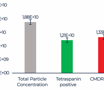 Assessment of Extracellular Vesicle Purity Using ZetaView® Fluorescence NTA (F-NTA) in Comparison to Flow Cytometry and TRPS