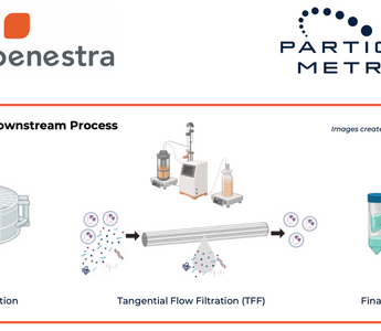 Accurate Mass Balance of EV Downstream Processing using ZetaView® and F-NTA Tetraspanin Detection Kit