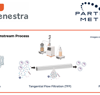 Accurate Mass Balance of EV Downstream Processing using ZetaView® and F-NTA Tetraspanin Detection Kit