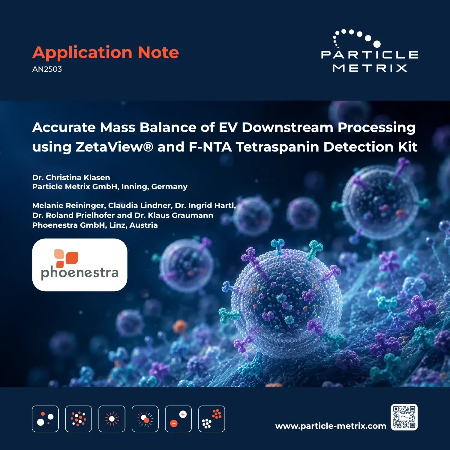 Accurate Mass Balance of EV Downstream Processing using ZetaView® and F-NTA Tetraspanin Detection Kit