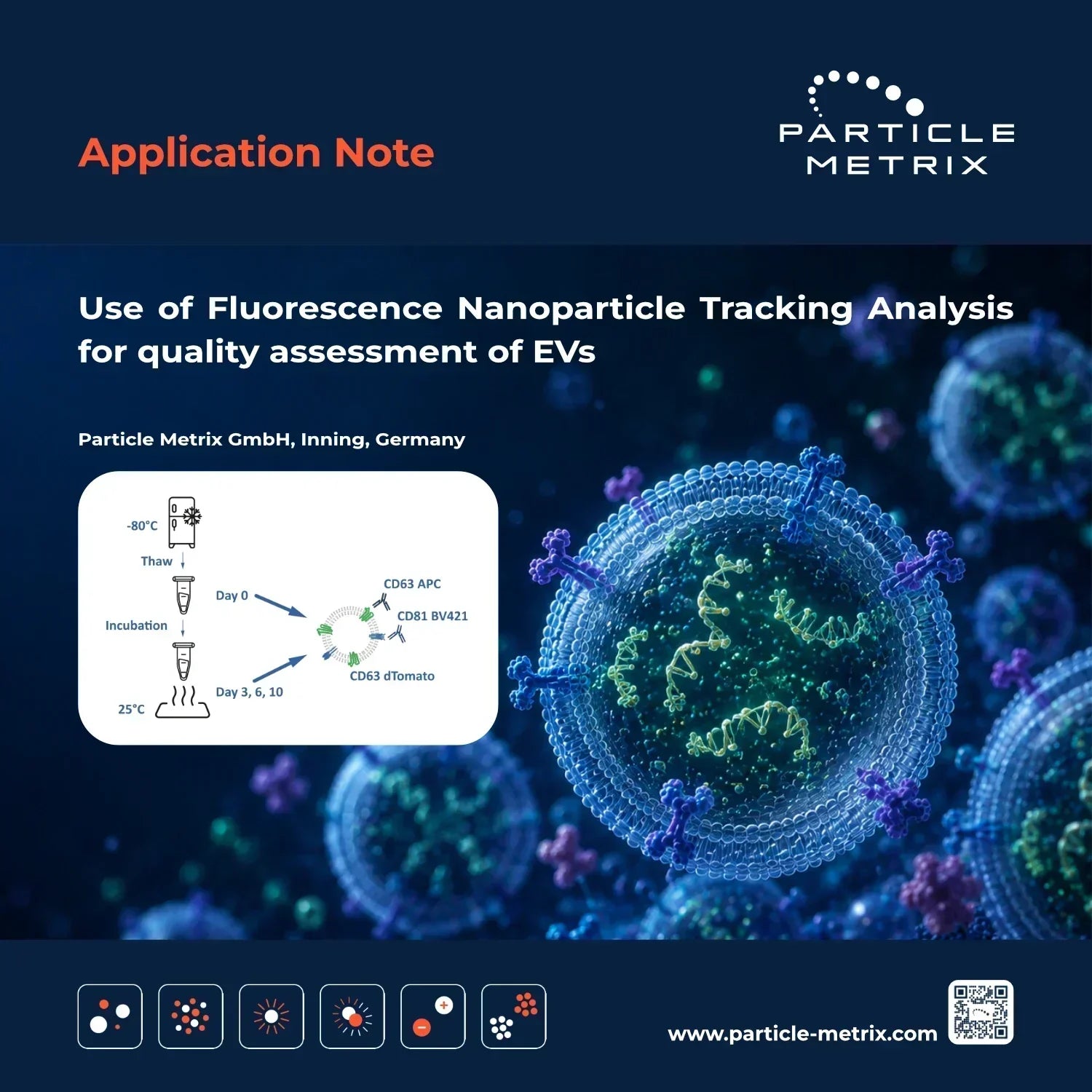 Use of Fluorescence Nanoparticle Tracking Analysis for quality assessment of EVs