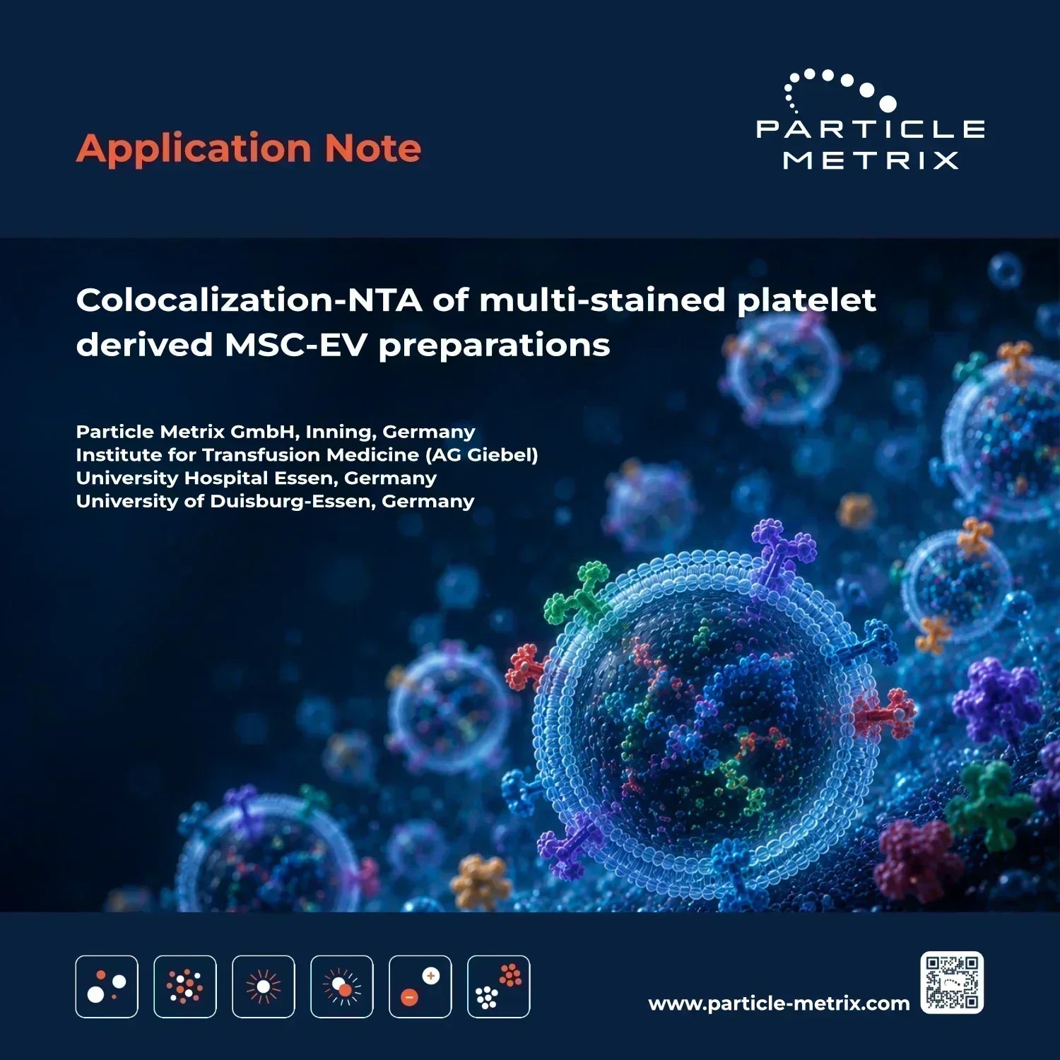Colocalization-NTA of multi-stained platelet derived MSC-EV preparations