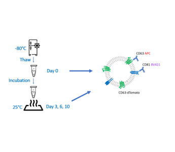 Use of Fluorescence Nanoparticle Tracking Analysis for quality assessment of EVs