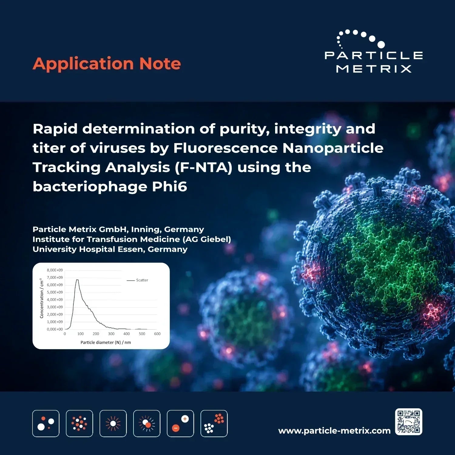 Rapid determination of purity, integrity and titer of viruses by Fluorescence Nanoparticle Tracking Analysis (F-NTA) using the bacteriophage Phi6