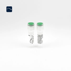 F-NTA CD63 Detection Antibody