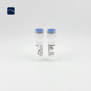 F-NTA CD63 Detection Antibody