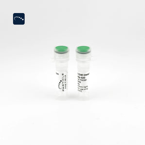 F-NTA CD81 Detection Antibody
