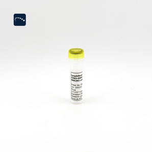 Lyophilized Exosomes CD63-EGFP from HEK293 cells